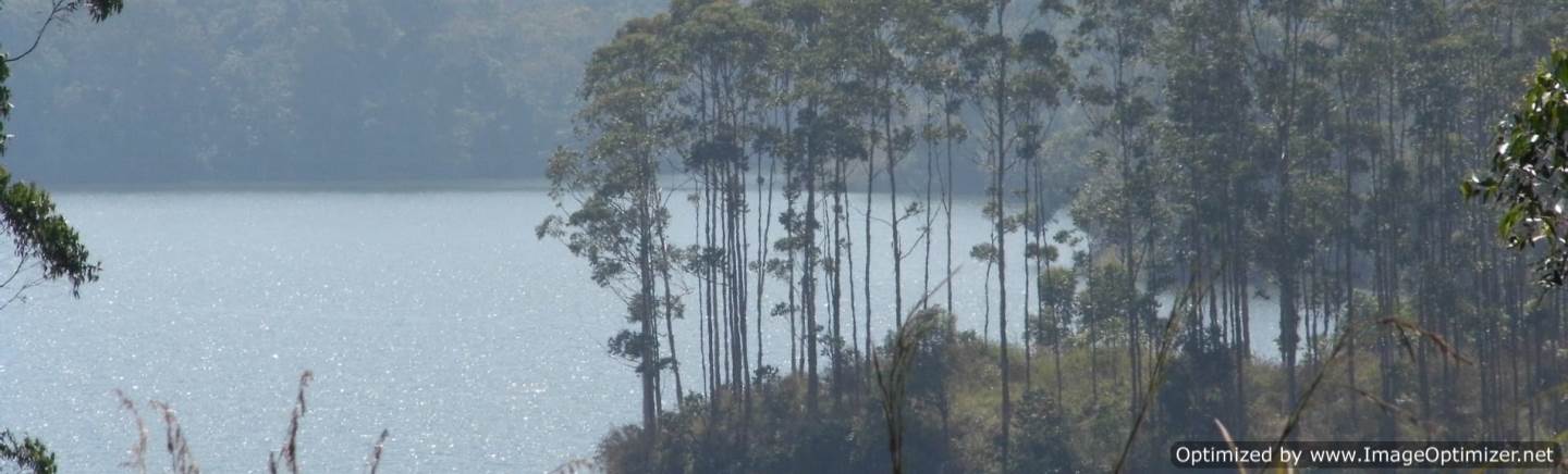 Anayirangal Dam