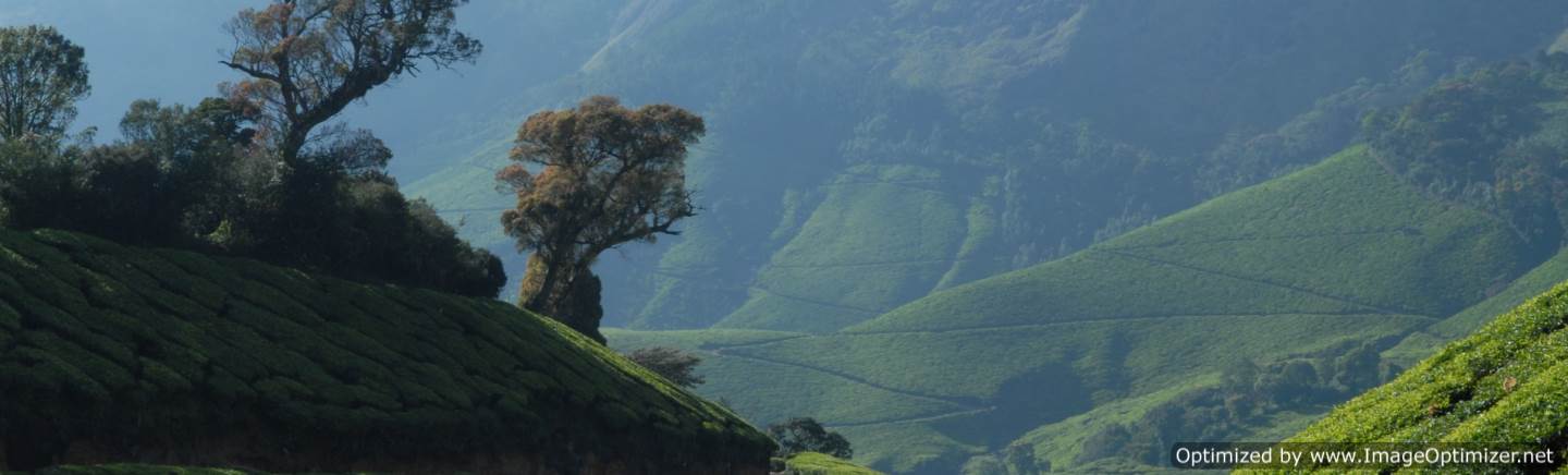 kolukkumalai